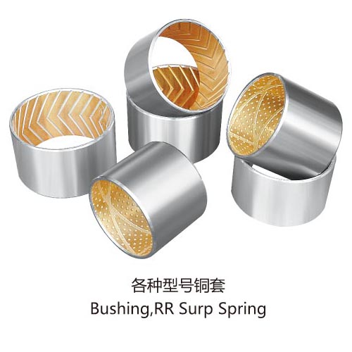 Bushing, RR Surp Spring